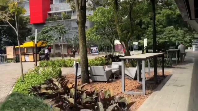 Учить испанский в Медельине, Колумбия. Colombia, Medellin смотреть онлайн