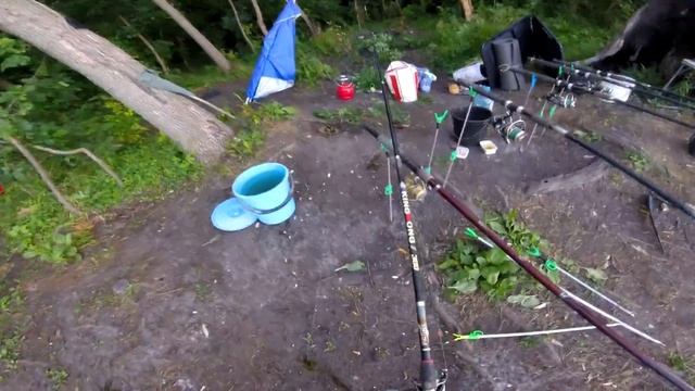 Ловля карпа и сома в июле 1 серия смотреть онлайн