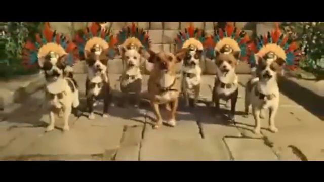 Chihuahua Song Beverly Hils Chiwawa
