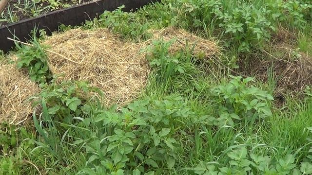 ДЕЛАЮ ДВА ДЕЛА ОДНОВРЕМЕННО//БУДНИ смотреть онлайн