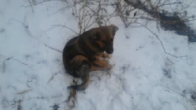 Очень печально когда такое видишь. смотреть онлайн