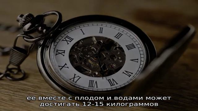 Почему нельзя спать на спине при беременности смотреть онлайн