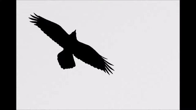 Oldest phonograph recording of "Black Raven", the Russian folksong in the series "Chernobyl" смотреть онлайн
