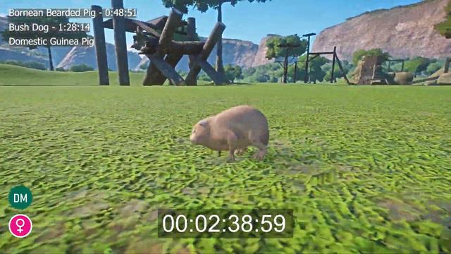 New Species Animals Speed Races in Planet Zoo included Golden Retriever, Bush Dog, Shoebill etc смотреть онлайн