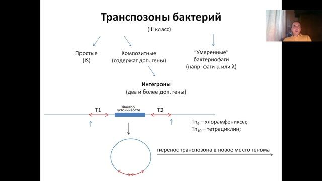 Лекция 5. (2023) Мобильные генетические элементы (транспозоны)