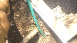 Снижение шума бензогенератора\Quiet Powermate generator