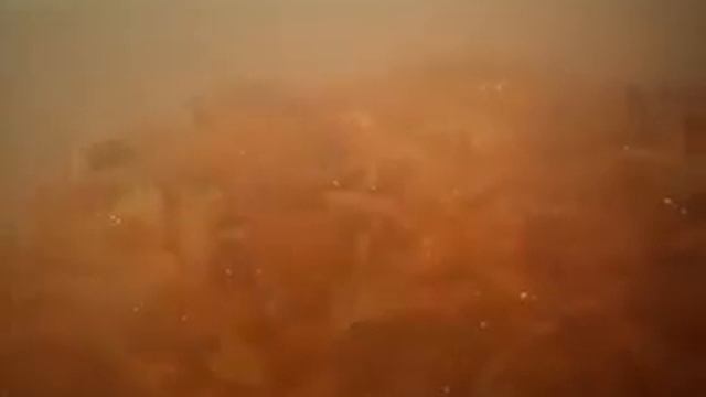 Фруктовый плов с сухофруктами. смотреть онлайн