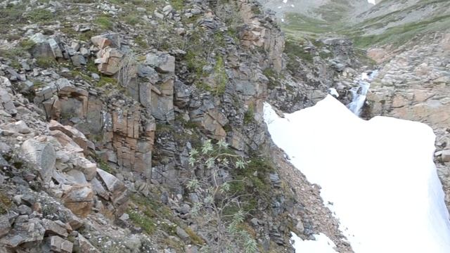 Сбор Саган Дайли. Тува. смотреть онлайн