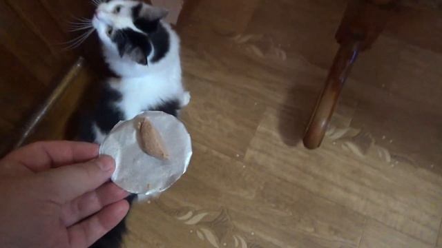 ПАШТЕТЫ РУЗКОМ ИЗ ФИКС ПРАЙС,паштет печеночный с индейкой,печеночный паштет с беконом,СТОИТ ЛИ БРАТ смотреть онлайн