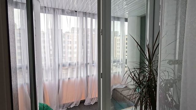 Беломорский 35 смотреть онлайн