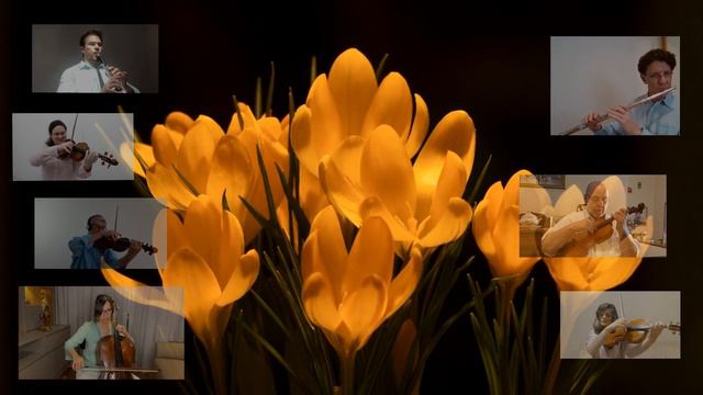 Valsa das Flores | OSU Pocket смотреть онлайн
