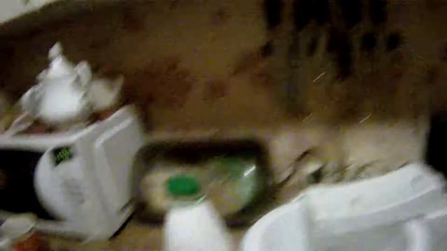 Kaktel быстро и лехко смотреть онлайн