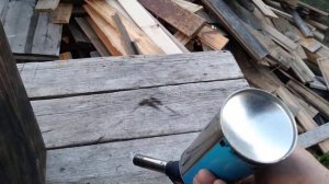 Кролики.  белый паннон.  самки. подготовка к окролу. установка маточников