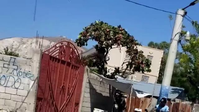 19 février 2024 Lejistis Ameriken mare Ariel ak Frantz elbé pou lanmò enspektè kenya a смотреть онлайн
