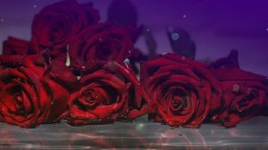 Футаж. Цветы над водой 18