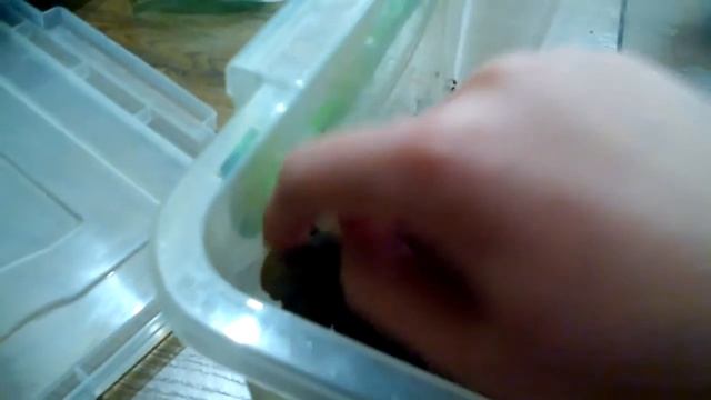 Как правильно брать улитку смотреть онлайн