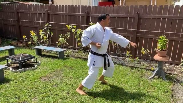 ? HEIAN SHODAN ?same place looking front :56 tutorial KARATE HOME ? TRAINING смотреть онлайн