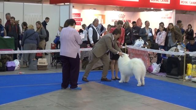 G'ucta in champion class смотреть онлайн