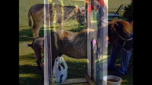 Easter in MiraBay 2015 смотреть онлайн