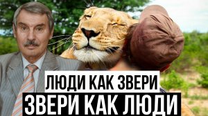 ЗВЕРИ ОЧЕЛОВЕЧИВАЮТСЯ, А МЫ ЗВЕРЕЕМ? | СЕРГЕЙ КРЕМЛЕВ