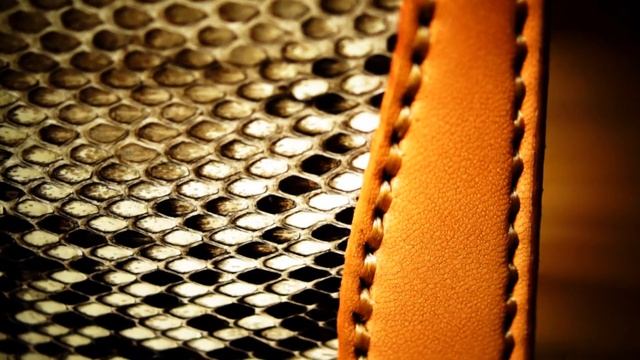 Python Middle Wallet in JAINDIANA смотреть онлайн