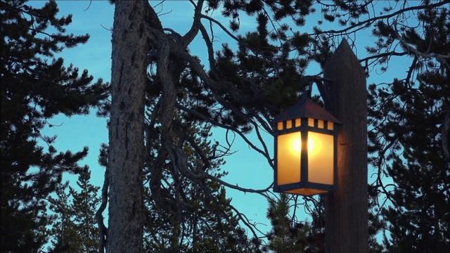 Летняя Ночь, Пение Сверчков Помогут Быстро Уснуть и Набраться Сил! Звуки Природы Для Сна и Отдыха смотреть онлайн