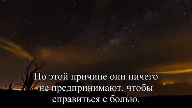 Мифы и факты о хронической боли — Статья смотреть онлайн