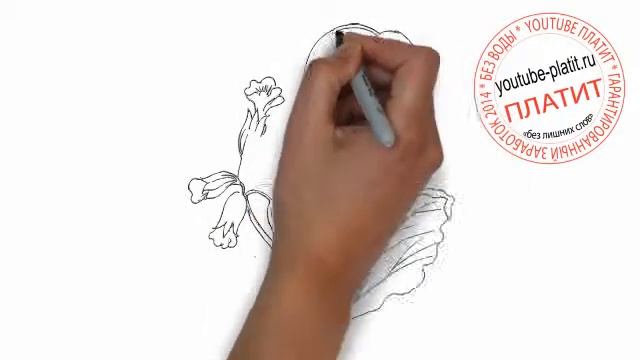 Как нарисовать цветы поэтапно карандашом Декоративные цветы смотреть онлайн