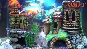 394. ВОЗВРАЩАЕМ БЛАГОПОЛУЧИЕ...