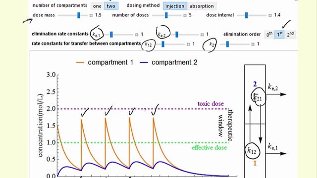 Pharmacokinetic Modeling (Interactive Simulation) смотреть онлайн