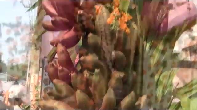 Праздник в Тривандруме.mp4 смотреть онлайн