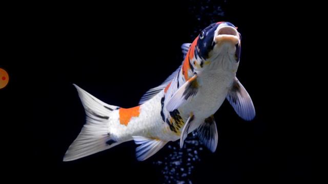 🤔Интересные факты из книжки 📚"КАК ЭТО РАБОТАЕТ❓" смотреть онлайн