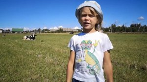 Всё про коров!