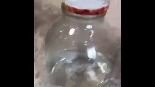 Эксперимент «Облако в банке» смотреть онлайн