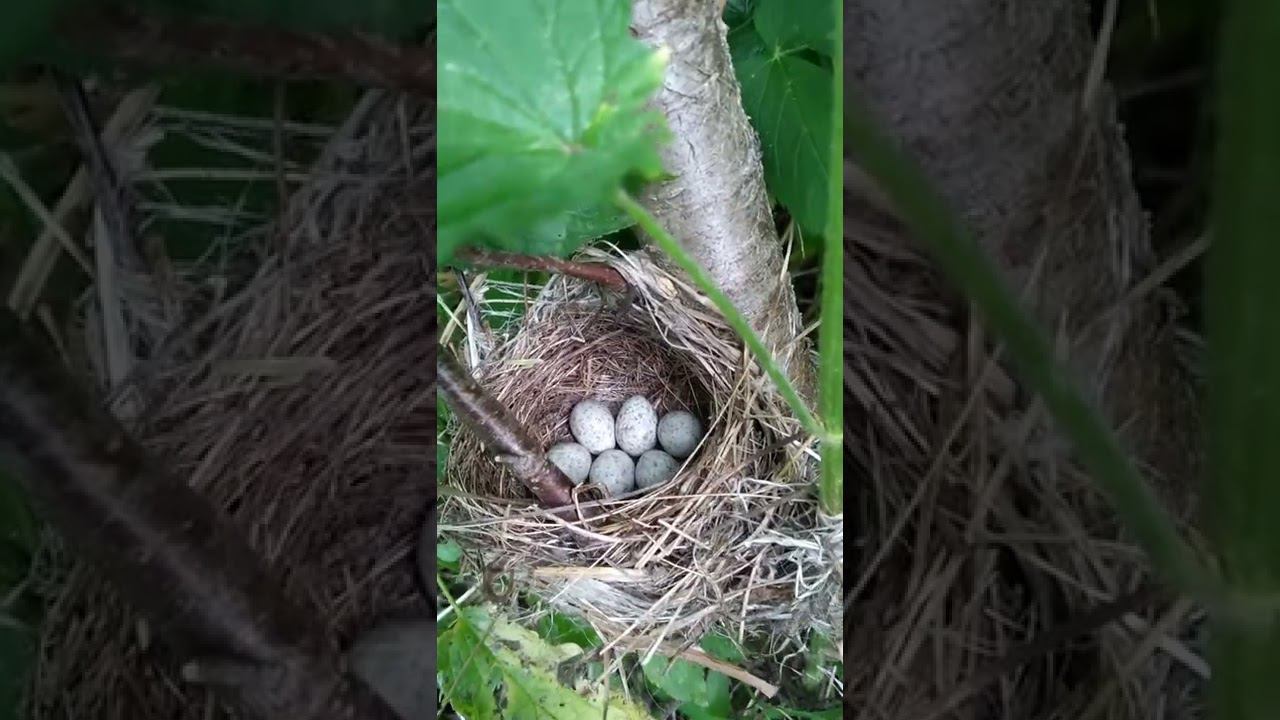 19 июня 2022 г. смотреть онлайн