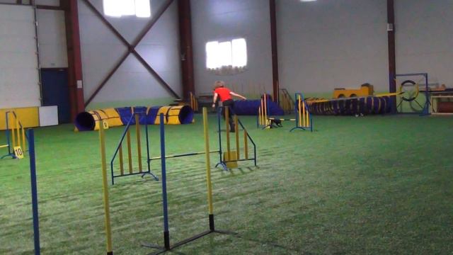 Small. Пахомова Татьяна & Цвергпинчер CELEBRITY FOR JOKER SHOW смотреть онлайн