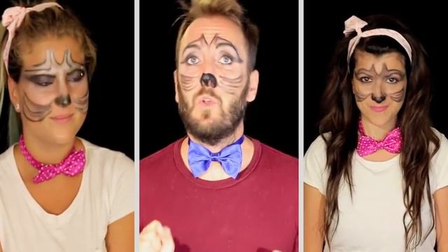 DisCover Gli Aristogatti - Concertino a 4 zampe смотреть онлайн