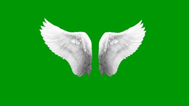 Angel Wings Animation Green Screen Video, Bird Wings Flapping Wings