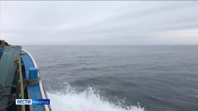 Итоги археологического сезона смотреть онлайн