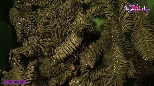 Делаем рождественский венок смотреть онлайн