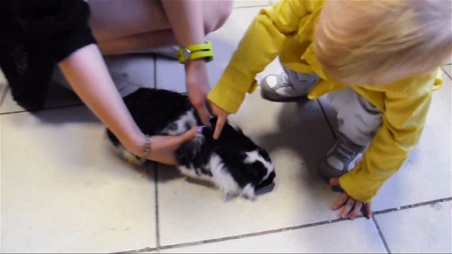 Контактный зоопарк смотреть онлайн