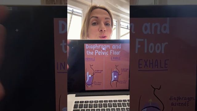 Тазовое дно, грудная клетка и дыхание: взаимосвязь и тренировка смотреть онлайн