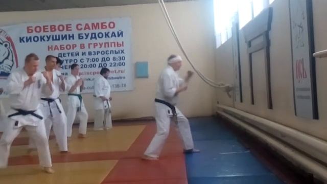 Кихон пинаны семинар 2015 года. Кекушин Будокай кан. Школа Астафьев рю. Новосибирск смотреть онлайн