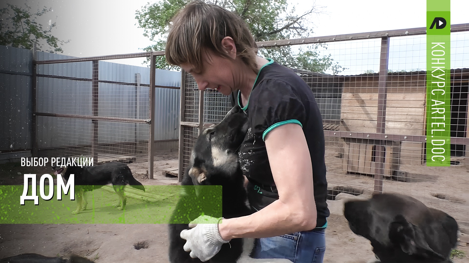 Дом смотреть онлайн