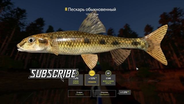 СЛУЧАЙНЫЙ ВОДОЕМ ИЛИ ПРИКЛЮЧЕНИЯ РЫБОЛОВА #рр4 #русскаярыбалка4 #rf4 смотреть онлайн