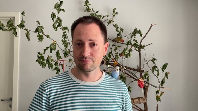 How to deal with the bird's poop outside the cage? смотреть онлайн