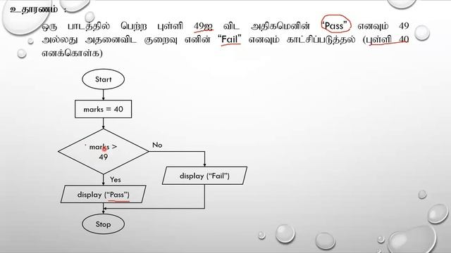 G.C.E (A/L) ICT | IF-ELSE in PHP| Web Development | Unit 10 | Tamil Medium | Zoom Class | Day 30 смотреть онлайн