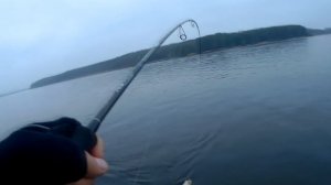 Обзор спиннинга Graphiteleader ASPRO GAPS 782ML