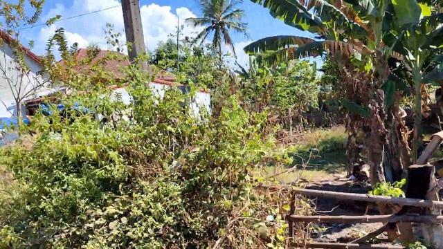 Дешёвый Лаос. Вьентьян или Паттайя - в чём разница. Невероятный вид с реки Меконг. Жизнь в деревнях смотреть онлайн