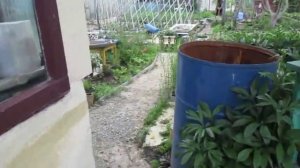 Дорожки в саду своими руками - какие лучше